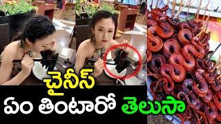 Top 10 weird Chinese foods that you wouldn't Dare to Eat | Telugu news