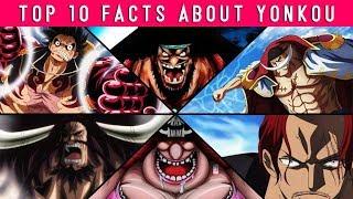 TOP 10 Facts You Didn't Know About The Yonkou in One Piece