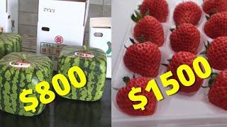 Top 10 Most Expensive Fruits In The World