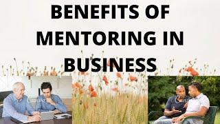 Benefits of Mentoring in Business