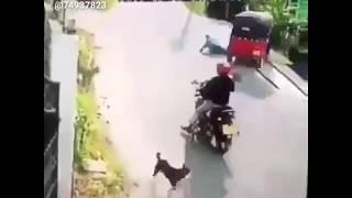 Zili Top 10 Zili funny video 2020 New zili funny Videos 2020 comedy video best zili funny video