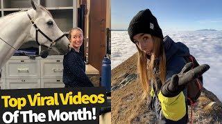 Top 50 Best Viral Videos Of The Month - March 2020