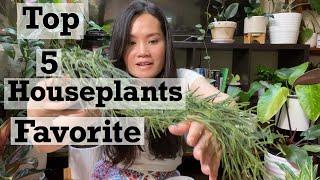 Top 5 Favorite Houseplants for the month of June