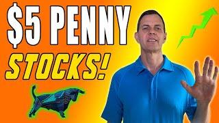 Top Penny Stocks
