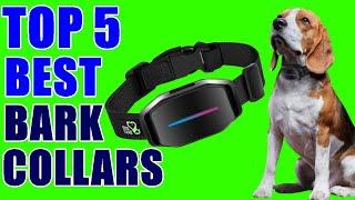 Top 5 Best Bark Collars 2020