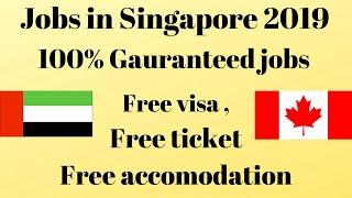S pass jobs in Singapore // Apply Now