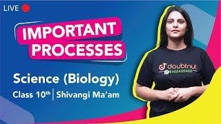 CBSE Class 10 Science | Important Processes -  Biology | Complete Revision - CBSE Board 2020