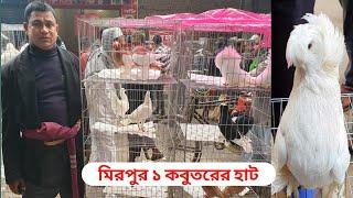Best And Biggest Pigeon Market In Bangladesh | Mirpur 1 Pigeon Market | Top Fancy Pigeon