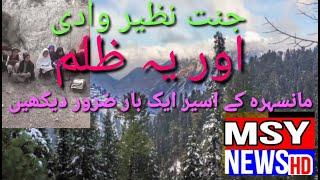 TOP NEWS OF THE DAY|Mansehra Me Ye Zulm|Special Report MSY NEWS HD|