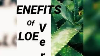 Covid19&Health- Top 10 Health Benefits of Aloe vera !