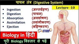 10. DIGESTIVE SYSTEM | Biology Classes|Science GK  | BY Nitin Sir |Study91