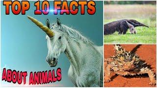 Top 10 facts about animals|| facts in hindi || kasim sayyed.