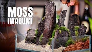 MOSS IWAGUMI inside DOOA Neo Glass Air