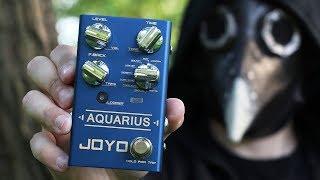 JOYO AQUARIUS: Delay And Looper