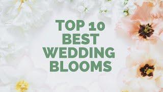 Most Beautiful FLOWERS FOR WEDDING || Beautiful blooms, long-lasting flowers and something blue