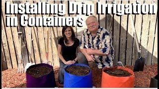 Setting up Containers for Planting, How to Install Container Drip Irrigation/Spring Garden Series #4