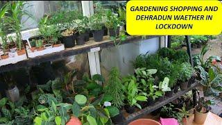 Dehradun Weather in Lockdown | Gardening Shopping | Raining ☔☔