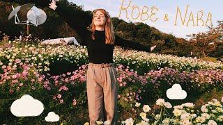 vlog // a magical flower field in Kobe & deer in Nara 