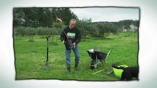 How To Plant Pip and Stone Fruit Trees