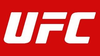 Top10 : facts about UFC