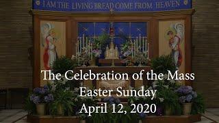 St. Andrew Apostle, Easter Sunday Mass, April 12, 2020 with Father Dan Leary