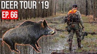 MISSISSIPPI FLOOD! - Hunting HOGS and DEER on Public Land!