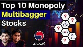 TOP 10 MONOPOLY MULTIBAGGER STOCKS FOR INVESTMENT