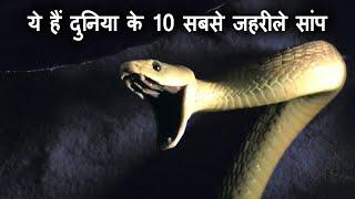 ये हैं दुनिया के 10 सबसे जहरीले सांप | Top 10 most Venomous Snakes in the World