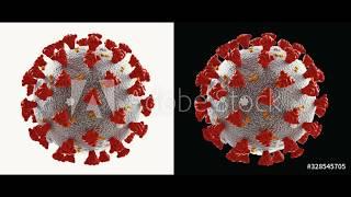 TOP 10 of the coronavirus method will change our life forever