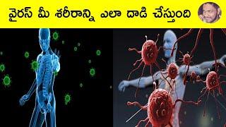 How A #Virus Invades Your Body | how a virus works | how virus  attack | effect body by virus |