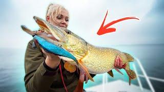 NEW PB!!! Big Pike Fishing in Germany - 