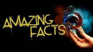 Top 10 amazing facts in the world | Unknown amazing facts | in hindi