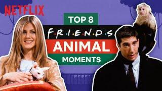 Top 8 Best Scenes | The One With All The Animals | Friends | Netflix India