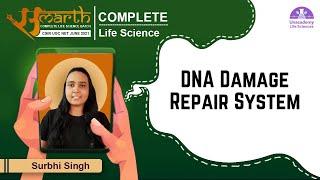 DNA Damage Repair System | CSIR Life Science June 2021| 10 PM | Samarth Batch