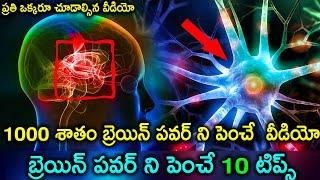 Top 10 Important Ways to Improve Mind Power In Telugu | How to improve Mind power