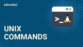 Basic UNIX Commands | UNIX Shell Commands Tutorial for Beginners | UNIX Training | Edureka