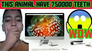 Which animal have the most number of teeth? Top 10 fact in hindi part 5