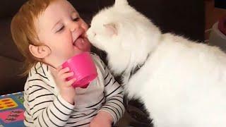 Baby and Cats Playing Together ☀️ Funny Baby and Pets Moments
