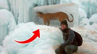 10 Animals Frozen In Time