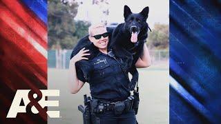 Police Dog Handlers Share Loving K9 Stories Part 4 | America's Top Dog (Season 1) | A&E