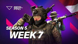 BESL.PRO SEASON 5 FINAL WEEK | [PUBG/CS:GO]