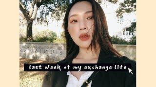 最後一週交換生活