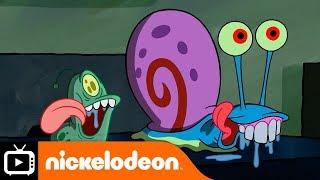 SpongeBob SquarePants | Gary's Secret Friend | Nickelodeon UK