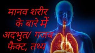 मानव शरीर के बारे में 10 गजब फैक्ट|Top-10  amazing facts about Human Body