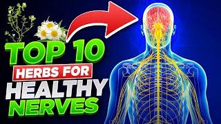 Top 10 Herbs for Your Nerves (Boost Your Nervous System)