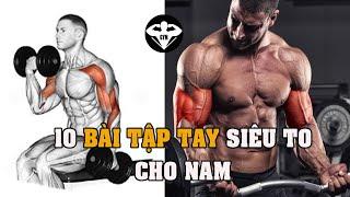 10 Top 10 bài tập tay siêu to - 10 hand exercises