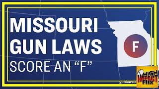 THIS State UNLEASHES the Mother of ALL Anti-Tyranny, Pro-Gun Laws!