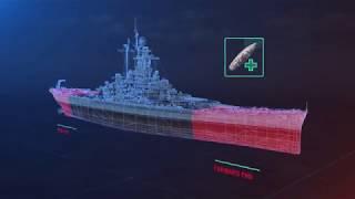 How It Works Torpedoes  By Knowledge Line