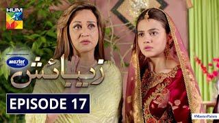 Zebaish | Episode 17 | Eng Subs | Digitally Powered By Master Paints | HUM TV | Drama | 2 October