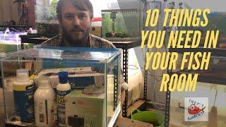 Top 10 Thing to have in your Fish Room